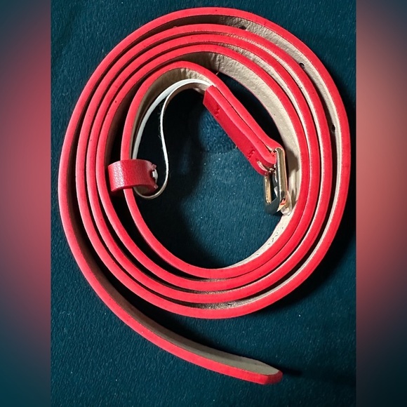 Popsy clothing belt new size large ladies accessories - Picture 3 of 5